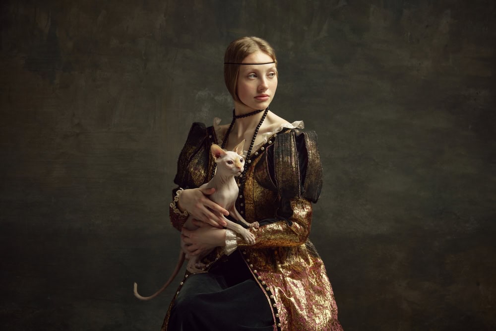 Originile si evolutia stilului gotic in moda (femeie din Renastere)